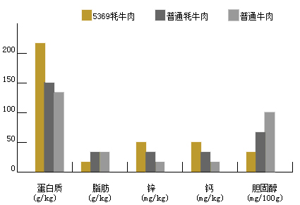 极为健康的美食选择